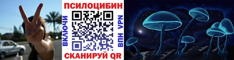 Псилоцибиновые грибы GOLDEN TEACHER  Дмитриев 